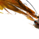 Illustration for article titled The Best Video Game Art Of 2014 Is A Treat For The Eyeballs